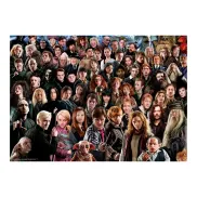 Harry Potter Challenge: Puzzle de 1000 Piezas