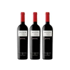Vino Tinto DOC Cigales Reserva 3xMuseum | Sabroso y Armónico