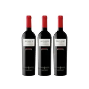 Vino Tinto DOC Cigales Reserva 3xMuseum | Sabroso y Armónico