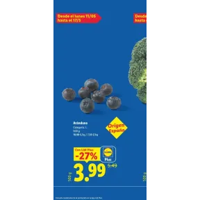 Aldi y Lidl: Precios idénticos en arándanos