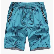 Pantalones Cortos de Playa para Hombre CHAIFENKO Moda Verano