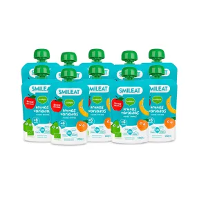 Pack Ecológico de 10 Pouch de Frutas - Sin Azúcar ni Gluten
