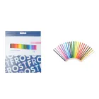 Lápices de Color Multicolor Hexagonales Frost - Pack 24