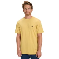 Jersey Básico SS Quiksilver para Jóvenes