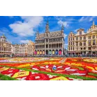 Vuelos desde 31€ a Bruselas: Ida y Vuelta en junio