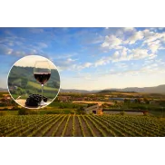 Escapada a Haro: 2 noches y cata en Bodegas CVNE