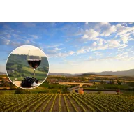 Escapada a Haro: 2 noches y cata en Bodegas CVNE