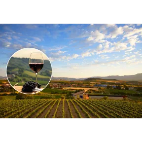 Escapada a Haro: 2 noches y cata en Bodegas CVNE
