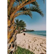 8 Días en Boa Vista, Cabo Verde: Desde 363€ P.P. Desde Madrid
