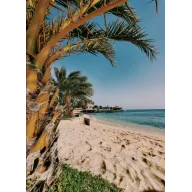 8 Días en Boa Vista, Cabo Verde: Desde 363€ P.P. Desde Madrid