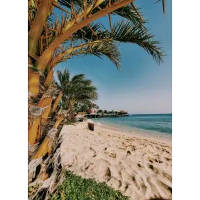 8 Días en Boa Vista, Cabo Verde: Desde 363€ P.P. Desde Madrid