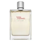 Eau Givrée Terre d’Hermès EdP 175 ml