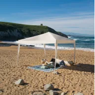 Classic Olsson Carpa Plegable Wasabi