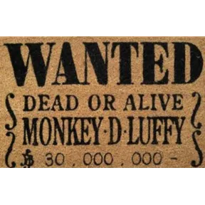 Felpudo Wanted Dead Or Alive - One Piece