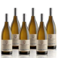 Pinot Grigio Valdadige DOC 2024 - OSSI FEDRIGOTTI 6x750ml