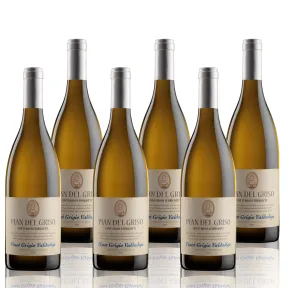 Pinot Grigio Valdadige DOC 2024 - OSSI FEDRIGOTTI 6x750ml
