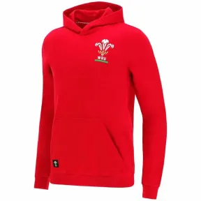 Sudadera con capucha Niño Rugby XV WRU Macron Gales