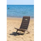Silla de playa Leroy Merlin