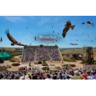 Hotel 4* en Toledo: Desayuno y entradas a Puy du Fou desde 58€