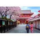 Vuelos directos a Tokio desde Madrid por menos de 650€