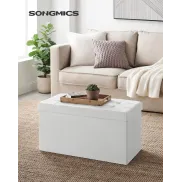 Banco de Almacenaje Plegable con Asiento Acolchado 89L