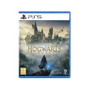 PS5: Hogwarts Legacy