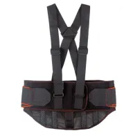 Soporte lumbar para la espalda