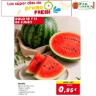 Sandía Cat 1ª España a 0,95€/kg - baja en semillas