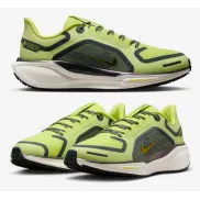 Mujeres Nike Pegasus 41 con Gore-Tex