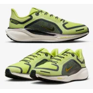 Mujeres Nike Pegasus 41 con Gore-Tex