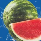 Origen España de Sandía Rayada (precio por kg)