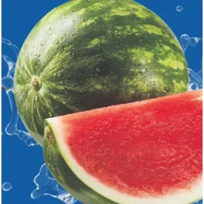 Origen España de Sandía Rayada (precio por kg)