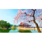 8 Días en Corea del Sur: Vuelo y Alojamiento desde 576€