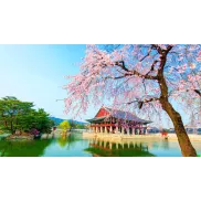 8 Días en Corea del Sur: Vuelo y Alojamiento desde 576€