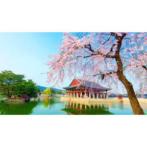 8 Días en Corea del Sur: Vuelo y Alojamiento desde 576€