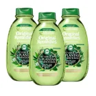 Champú Detox Garnier Té Verde y 5 Plantas - 3x400 ml