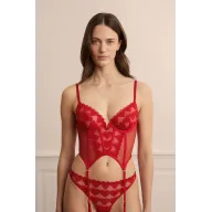 Corpiño de corazones con bordado elegante