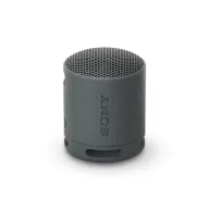 Altavoz Bluetooth SRS-XB100 de Sony, IP67, Resistente al Agua
