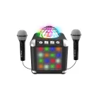 Karaoke Cefa Toys con Amplificador y 2 Micrófonos