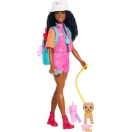 10 accesorios para la muñeca Barbie aventurera