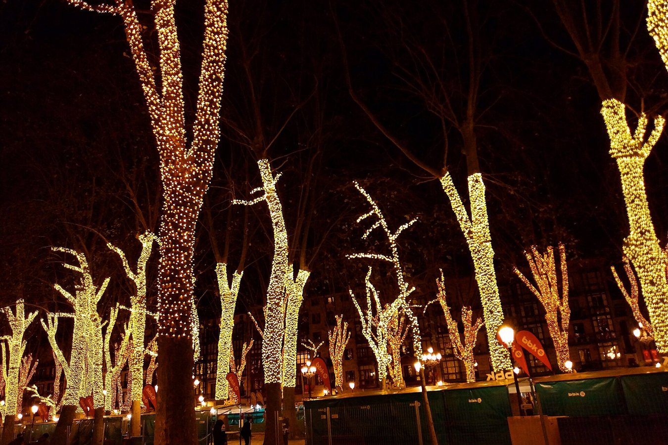 Árboles iluminados con luces de Navidad en el Arenal de Bilbao de noche