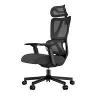 Silla Ergonomica ProtoArc EC100 con Respaldo Alto y Soporte Lumbar