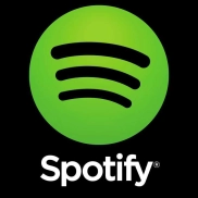 Spotify Premium: 12 Meses en India