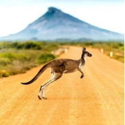 Vuelos a AUSTRALIA en mayo-junio desde Madrid por 595€