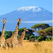 Vuelos a TANZANIA: Ida y Vuelta + Equipaje por 506€