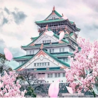 Vuelos a Japón de IDA y VUELTA con Equipaje por 454€