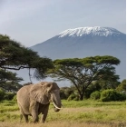 Vuelos a KENIA: Ida y Vuelta + Equipaje por 390€