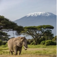 Vuelos a KENIA: Ida y Vuelta + Equipaje por 390€