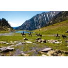 Paseo a Caballo en Andorra + Hotel 3* desde 58€ por noche
