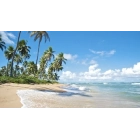 Precio por persona: Crucero de 15 días Barcelona a Salvador